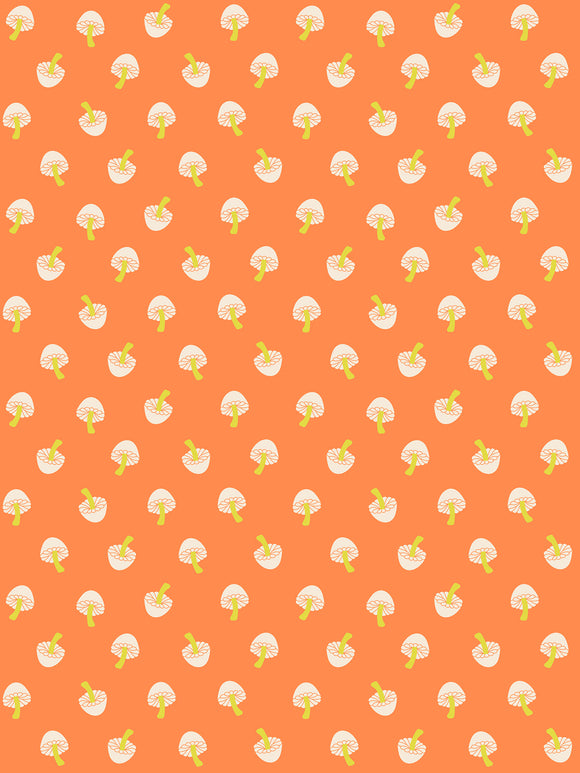 Moda - Ruby Star Society - Tiny Frights - Pumpkin